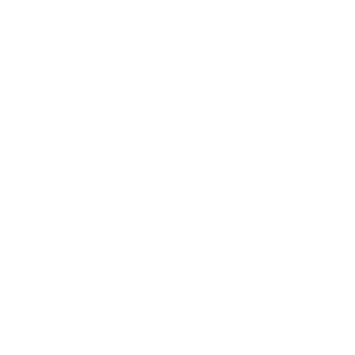 cj11l's emblem