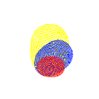 Ecuador Delta Squad's emblem