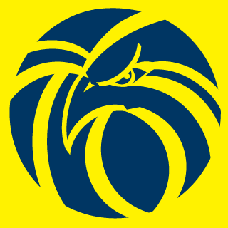 PsyhosocialUA's emblem