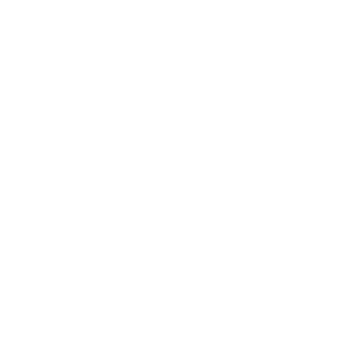 Me4tWag0n's emblem