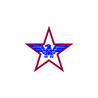 xXronik's emblem