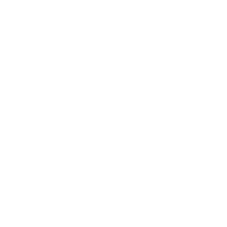 DJ_ZOMAN's emblem