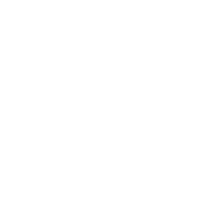 1Daniel306's emblem
