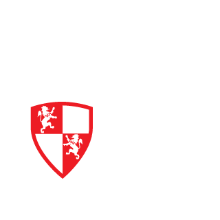 mechanized20's emblem