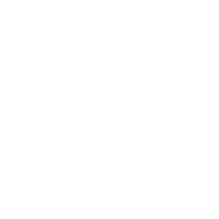 ElectricRay95's emblem