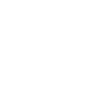 --FR--2Strong4U's emblem