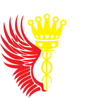 DzikiWariat's emblem
