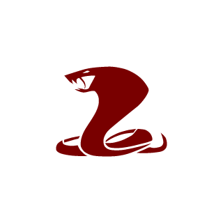 secret41208's emblem