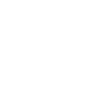 H4NXES's emblem