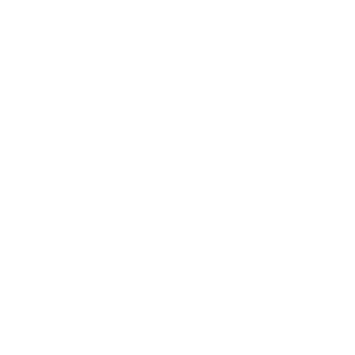 rayv_slayv's emblem