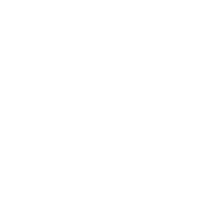 MR-Vbif's emblem