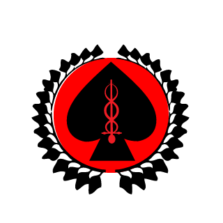 Falcon00123's emblem