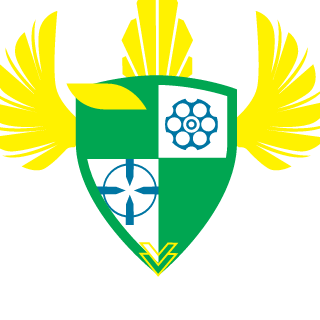 DzikDzikDzik's emblem