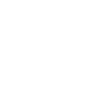 BlackFilms96's emblem