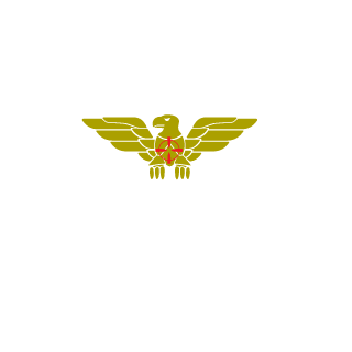 switchlike12345's emblem