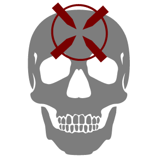 SpinashMaster's emblem