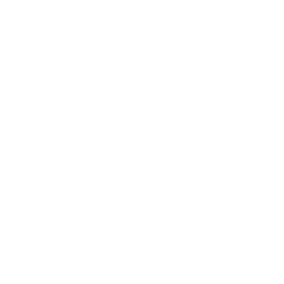 A1-kosMonavT's emblem