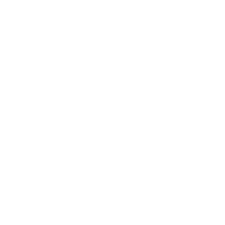 Schammil's emblem