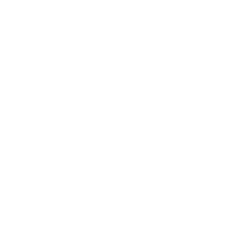 AflamboyantDUCK's emblem