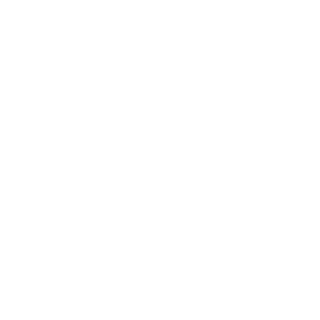 zhirik600's emblem