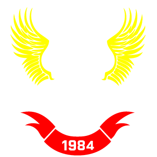 MeV4leVrg4's emblem