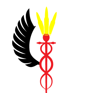 AveriaXE's emblem