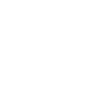 Adapter19711's emblem