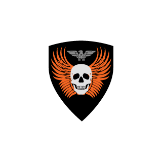 Q1tum's emblem