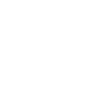 11Volts11's emblem