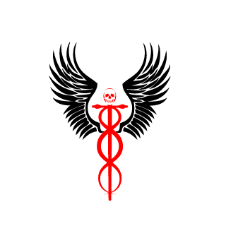 WierdSkydiver47's emblem