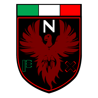 Fenix Team's emblem