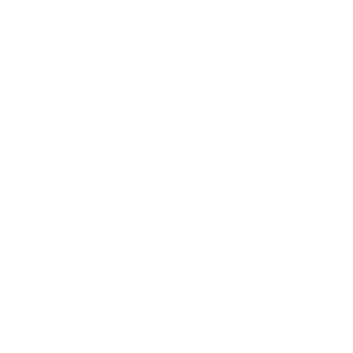 54134753ad86d0d2's emblem