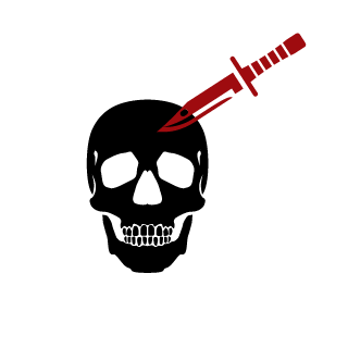 Anrijs45's emblem