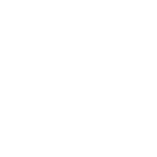 blipblopz's emblem