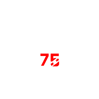 Havel75's emblem