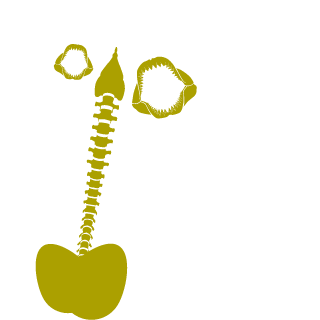 qoqoseek's emblem