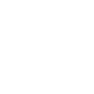 H09K491LL4's emblem
