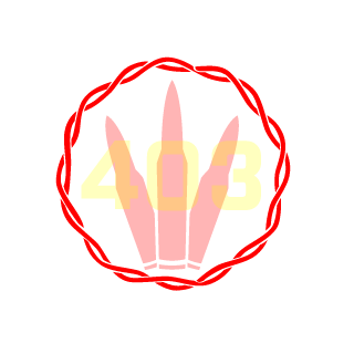 StealthBombing_'s emblem