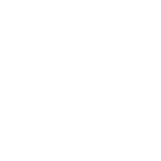 DODOBIRDPERSON10's emblem