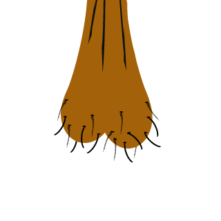 WhatsTheDill_909's emblem