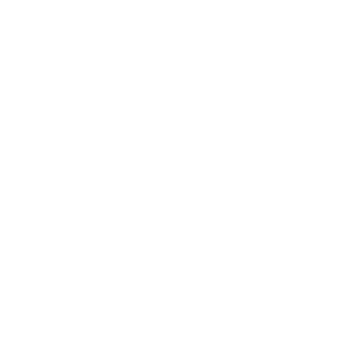G13-Nes's emblem