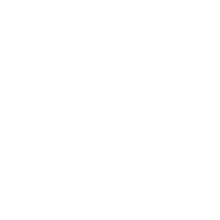 Molotov161's emblem