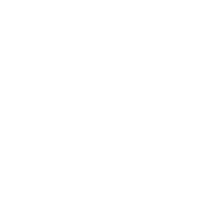 CyberXD's emblem