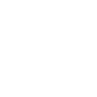 ZzzzLyK's emblem