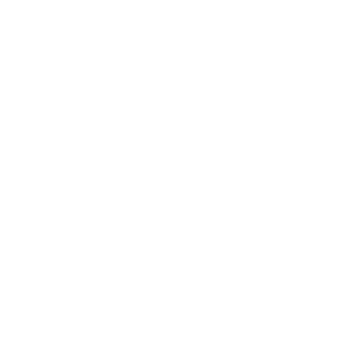 GenXDownFall55's emblem