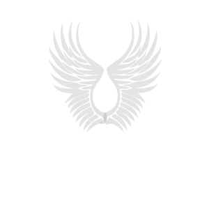 AlWaYs__SOLO__Af's emblem