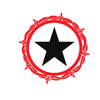 Sandinista11's emblem