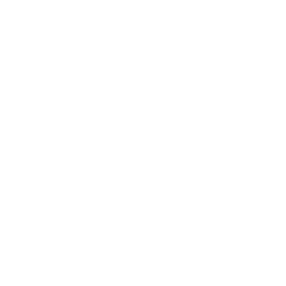 Shamanidze03's emblem