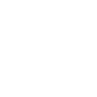 RetroBrandonPS's emblem