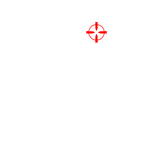 Surf82's emblem